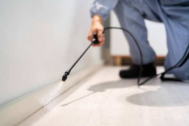Licensed Fumigation Services service in Sonoma County County, CA - Nex Pest Control